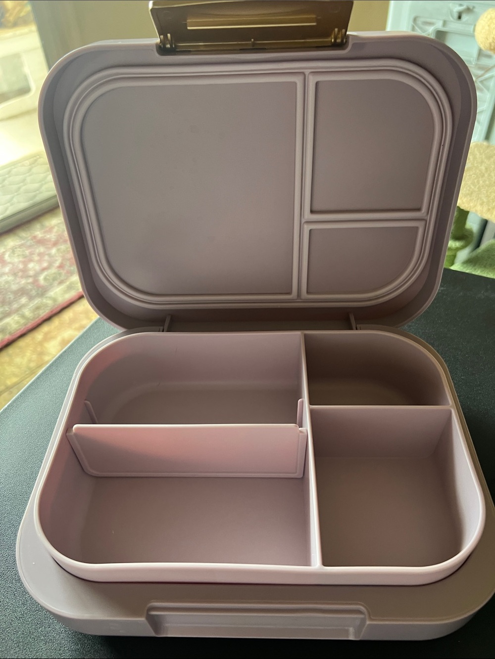 Bentgo Multi-Compartment Bento-Style Storage Box lunch